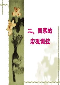 国家的宏观调控