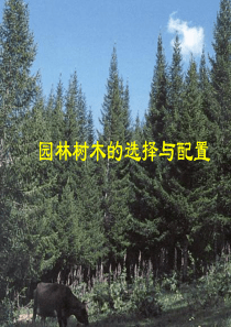 园林树木的选择等与配置