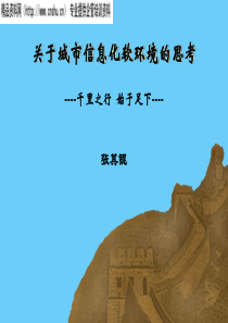 对于城市信息化的软环境的思考