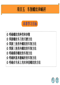 车削螺纹和蜗杆