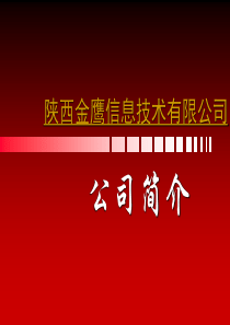 陕西金鹰信息技术有限公司