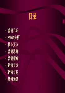 房地产策划案例尾盘营销方案