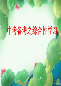 2014张小燕综合性学习活动