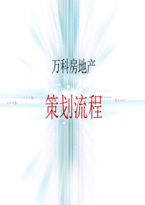 房地产策划流程全程策划(万科地产)