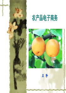 农产品电子商务