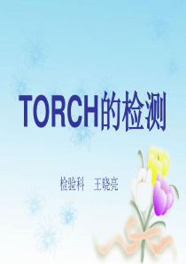 TORCH的检测