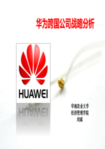 华为跨国公司战略分析剖析