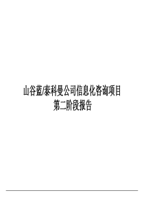 山谷蓝信息化咨询项目第二阶段报告