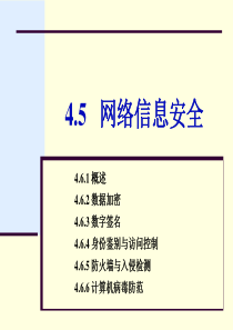 第4章4.5 网络信息安全
