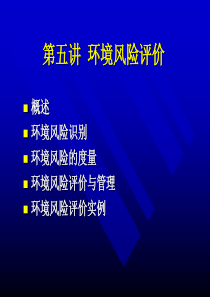 4-环境风险评价