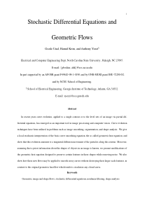 Stochastic differential equations and geometric fl