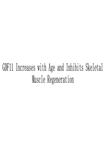 GDF11 Increases with Age and Inhibits Skeletal