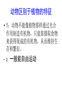 1腔肠动物和扁形动物