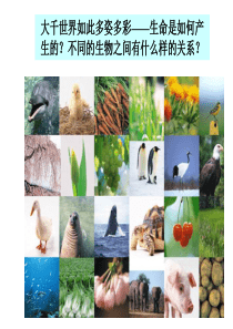 第16章_遗传与进化
