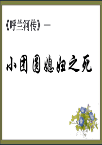 呼兰河传-小团圆媳妇之死-终结版