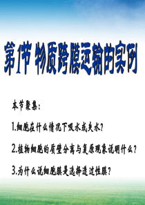 质壁分离与复原