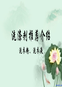 洗涤用品推荐介绍ppt