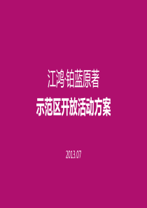 示范区开放活动