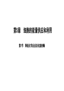 第5章 第1节 降低化学反应活化能的酶 细胞的能量供应和利用 第1课时 酶的作用和本质