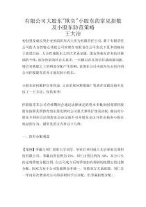 小股东权益保护策略