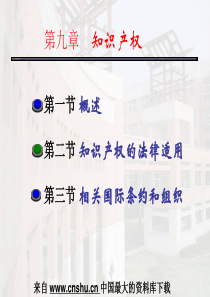 知识产权的法律适用(ppt 31)