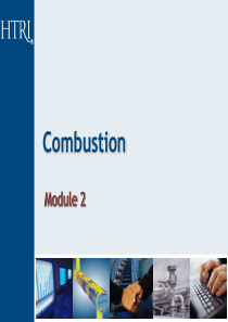 HTRI-加热炉-模拟