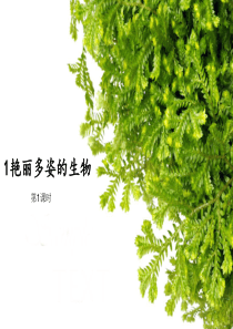 第1节 艳丽多姿的生物第一课时