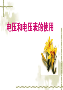 电压和电压表的使用