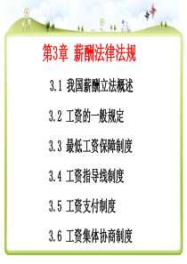 第3章薪酬法规与薪酬制度