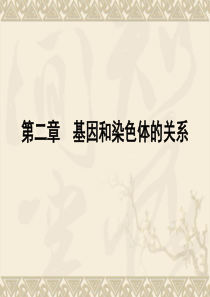 生物：2.1《减数分裂和受精作用》PPT课件(新人教必修2)01