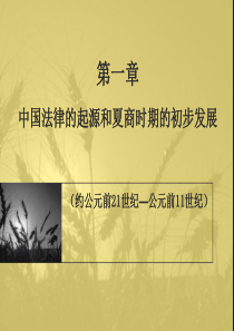 第一章中国法律的起源和夏商时期的初步发展
