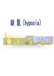 缺氧ZCM