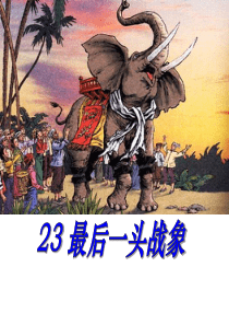 23最后一头战象