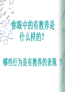 获得教养的途径ppt