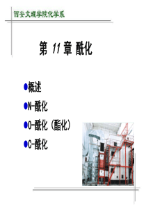 第11章 酰化