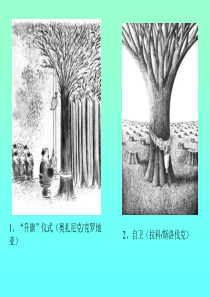 2.2 《森林的开发和保护-以亚马孙热带雨林为例》课件-新人教必修3.