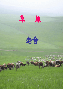 《草原》第二课时PPT