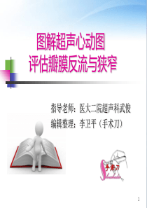 图解超声心动图评估瓣膜反流程度综述