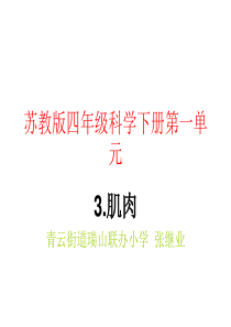四年级科学《肌肉》