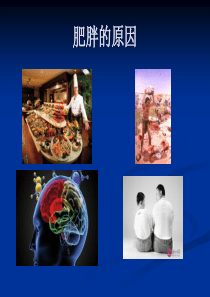 单纯性肥胖与认知行为治疗