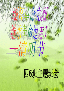 四五六年级清明节主题班会ppt课件