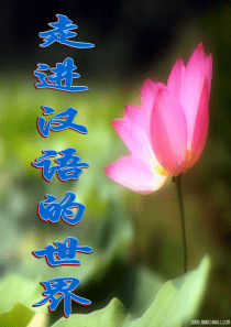 普通话与方言的比较分析