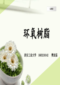 环氧树脂PPT