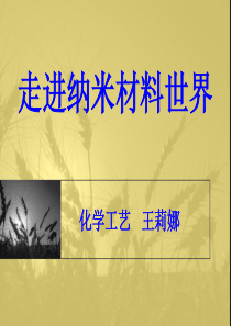 纳米材料 -简介