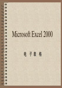 Microsoft Excel 2000