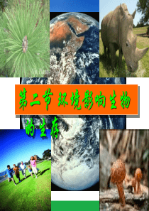 环境影响生物的生存