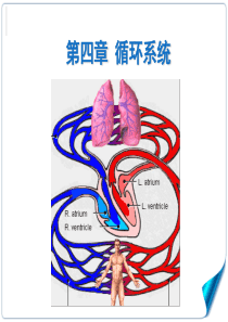 第四章循环介绍