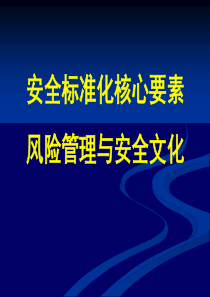 6.风险管理模式