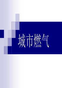城市燃气运行管理