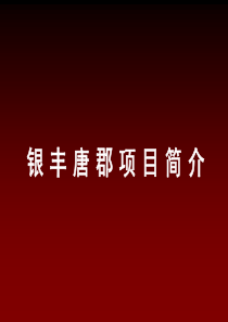 “银丰唐郡”项目简介